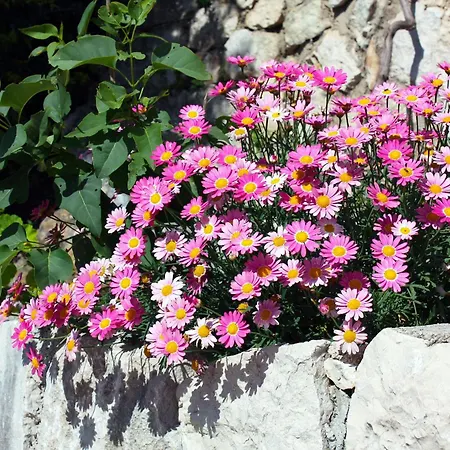 By The Sea Sobra, Mljet - 4908 Appartamento