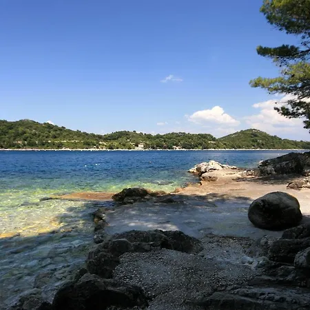 Apartment By The Sea Sobra, Mljet - 4908 Babino Polje