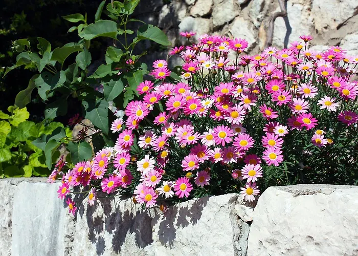 By The Sea Sobra, Mljet - 4908 Apartment