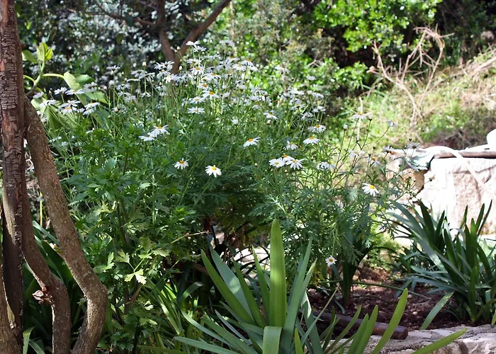 By The Sea Sobra, Mljet - 4908 *
